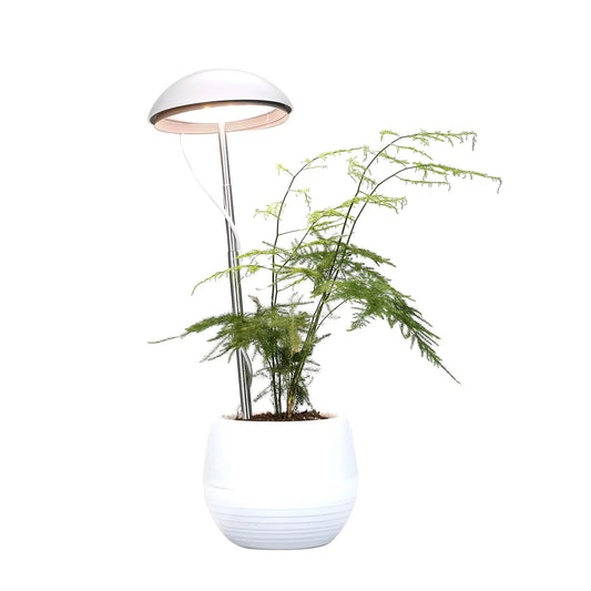 LED Potted Plant Growing Lamp Full Spectrum Plant Grow Light Fill Light Height Adjustable 5 Dimmable Brightness for Indoor