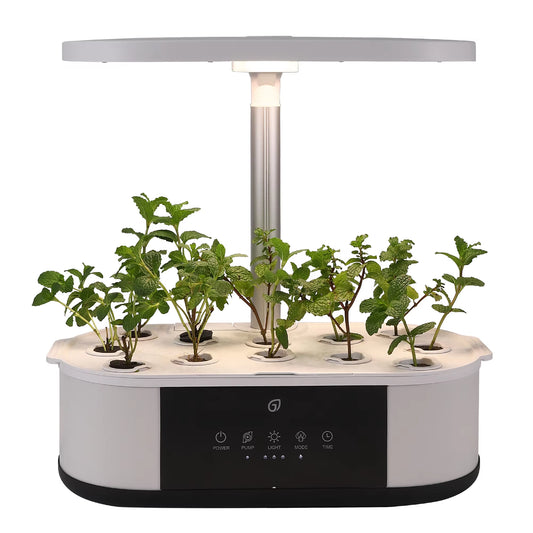 12 Pods Hydroponics Growing System, Hydroponics Kit with 120 24W Full Spectrum Grow Lights in 5 Colors,Automatic Timer for Home