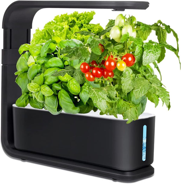 Easy Indoor Herb Garden Kit