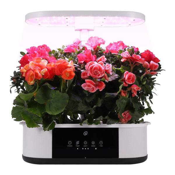 EasyGrow Indoor Plant Kit